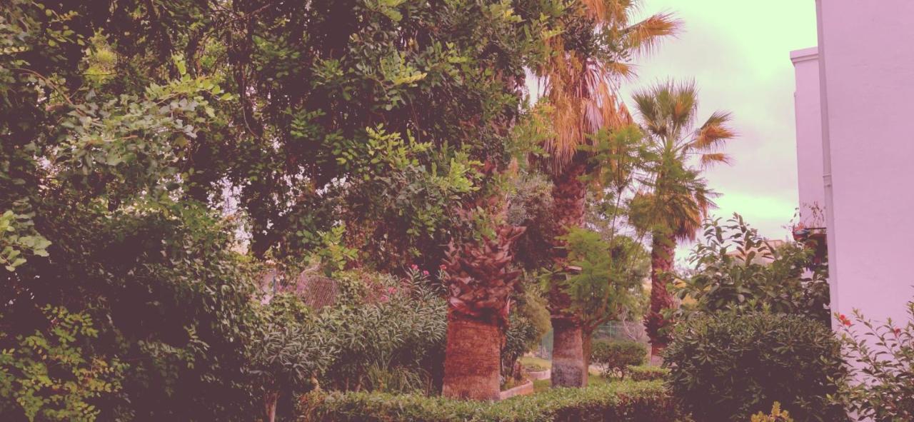 Cantinho Azul - Tavira Garden المظهر الخارجي الصورة