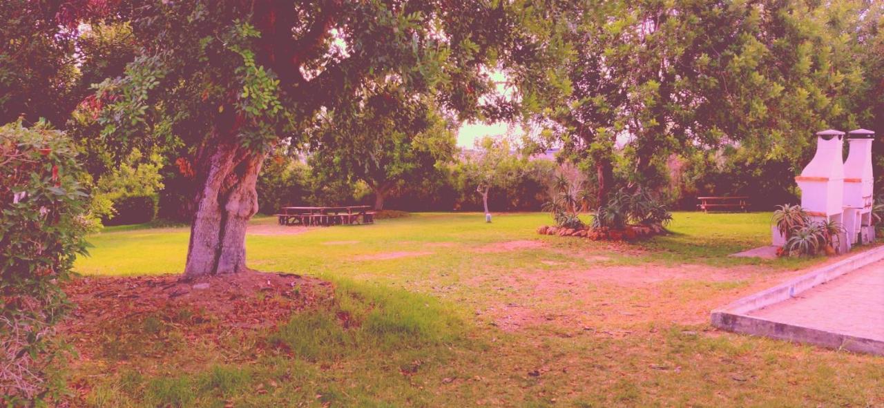 Cantinho Azul - Tavira Garden المظهر الخارجي الصورة